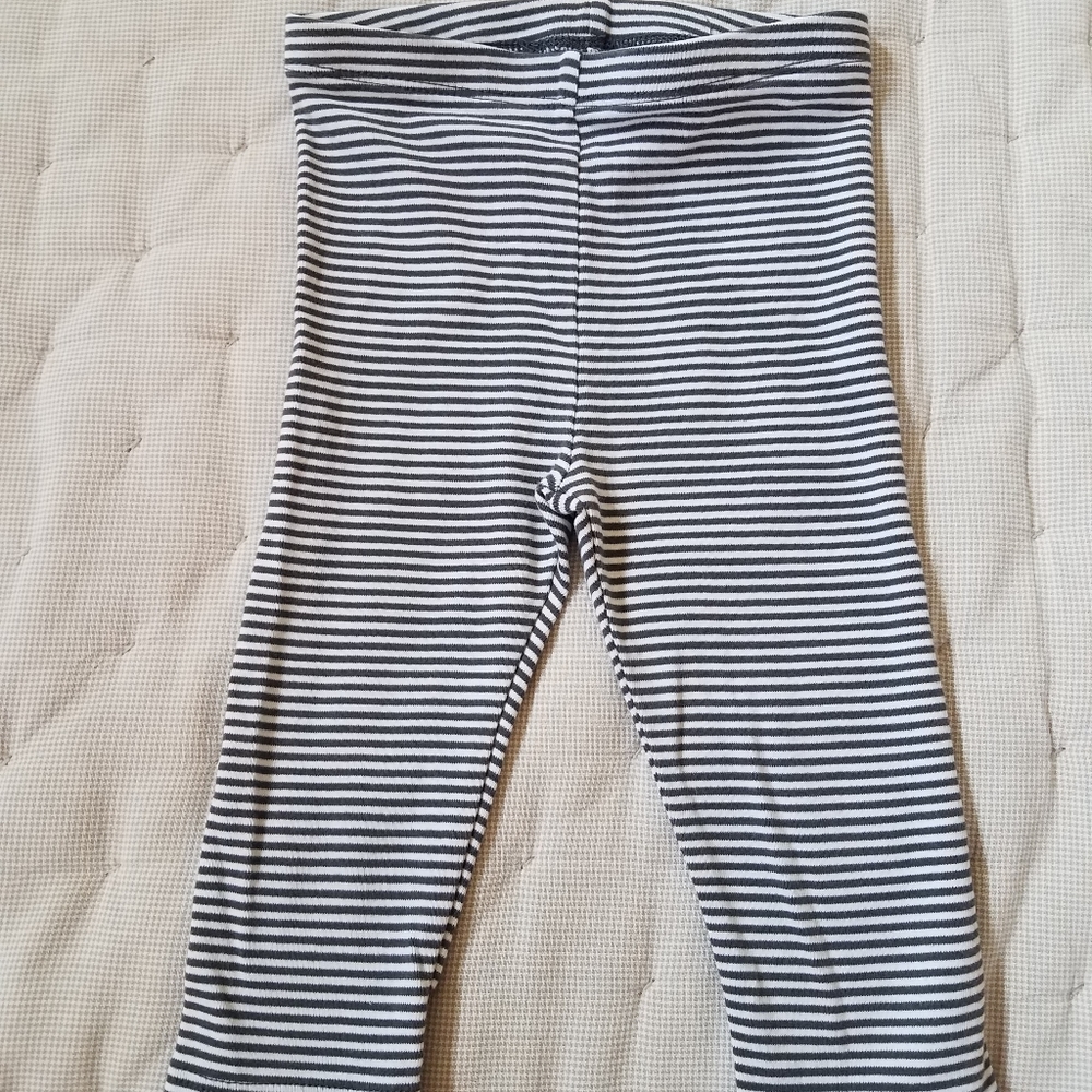 Tea collection capri leggings